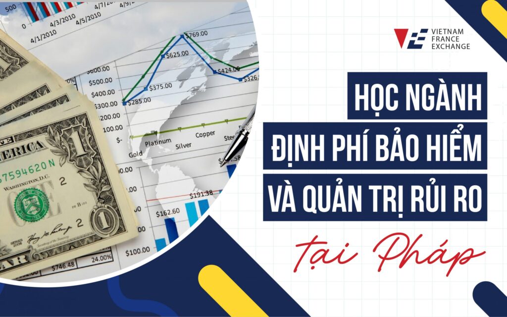 vfegroup-dinh-phi-bao-hiem-va-quan-tri-rui-ro 2